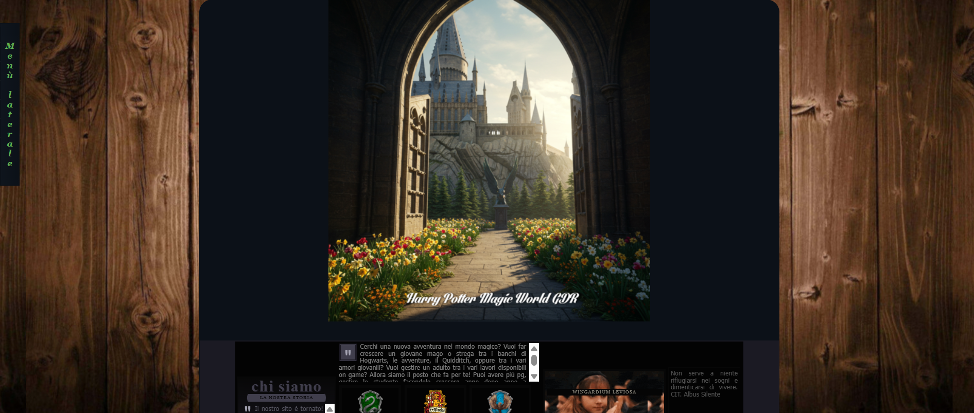 Harry Potter Magic World